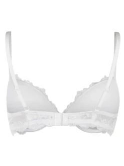 Sielei Reggiseno push up in pizzo con ferretto 1946