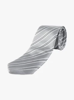 Swallow Fight Cravatta classica da uomo con stampe
