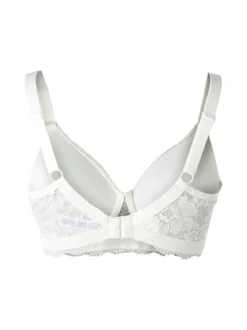 Verde Veronica AR16 Reggiseno imbottito preformato senza ferretto coppa D - panna